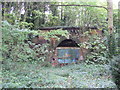 Closed railway tunnel, Upper Sydenham