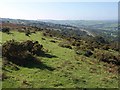 Moorland above Okehampton