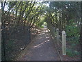 Footpath by the M4