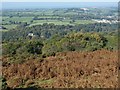 Hillside above Okehampton