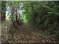 Tramway Footpath, Froghall