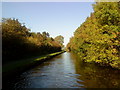 Canal near Barnoldswick