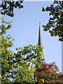 Autumn leaves and church spire near Newbridge, Wolverhampton