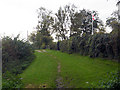 Path leaving Banktop Wood