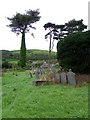 Churchyard, St Rhystud