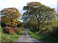 Autumn colours near Kirtlebridge