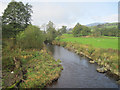 Afon Tanat upstream