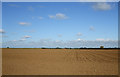 TQ9288 : Field in Barling Road by terry joyce
