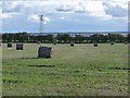 Bales of straw near Gretna