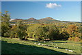 The Eildon Hills from St Boswells