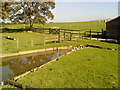 Duck pond near Salterforth