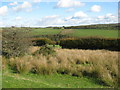 Fields east of Withypool Hill