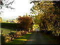 Country lane at East Marton