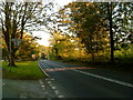 A59 in East Marton