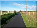 The access lane to the Organig Parc at Carnguwch Bach 