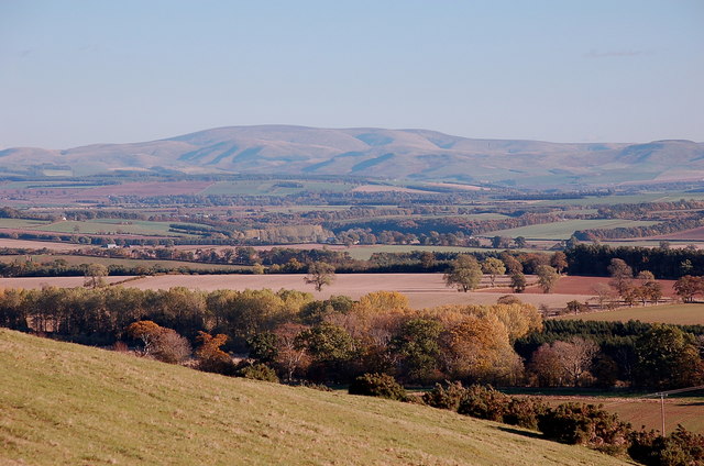 From Bemersyde Hill to The Cheviot