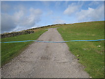 NY9843 : Access track to Steward Shield Meadow by Philip Barker