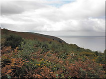 SS9547 : Coastal view, above Greenaleigh Point by Roger Cornfoot