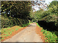 Lane past the Hall in West Barsham