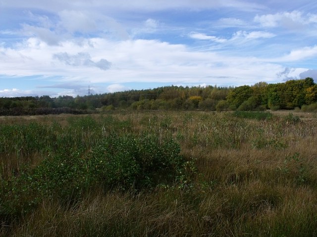 Marshland near Glenboig © Robert Murray :: Geograph Britain and Ireland