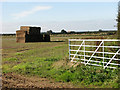 Stacks of straw bales in field south of Spring Lane