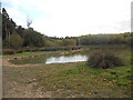 Pond near the edge of the Chase