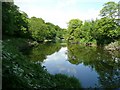 The River Coquet, Warkworth