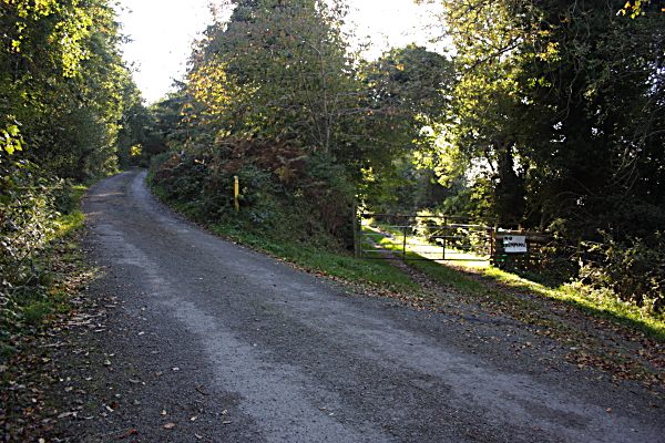 Lane & Gate