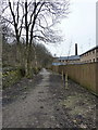 Footpath, near Blackpit Mill