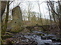 Industrial remains below Blackpit Mill Chimney