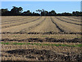 Farmland, Thatcham