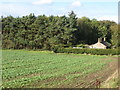 Farmland and woodland near Quarry Cottage