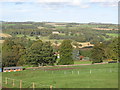 Grazing land above Farnley Grange