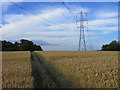 Farmland and pylons, East Worldham