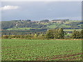 Farmland north of Ladycutters lane