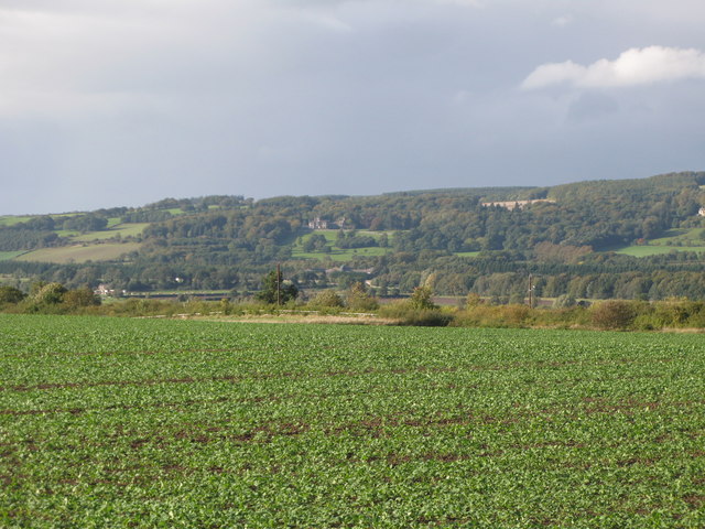 Farmland north of Ladycutters lane (2)