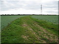 SP7231 : Padbury: Farm track by Nigel Cox