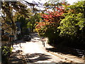 Bournemouth: Queen?s Road heads uphill from the Gardens