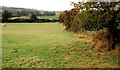 Field and hedge, the Corbet near Banbridge