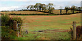 Gate, the Corbet near Banbridge