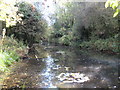 Buckingham: Former railway line now a pond