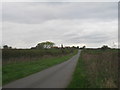 Looking towards Dry Doddington from the Westborough Road