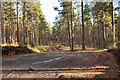NH9247 : Forestry road into Fleenas Wood by Steven Brown