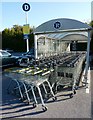 Supermarket trolleys, near Paignton Zoo