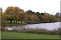 Loch of Forfar in autumn