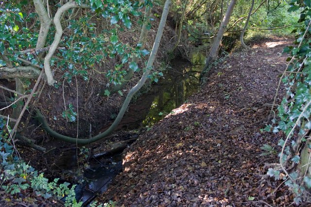 Tributary of Wesley Brook