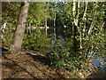 Middle Pond, Fairmile Common