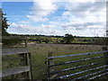 Gate, broken down stile; Amber Valley