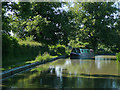 The Ashby Canal east of Shenton, Leicestershire