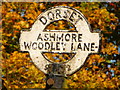 ST9118 : Ashmore: detail of Woodley Lane signpost by Chris Downer
